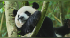喜迎国庆 欢度中秋 | 开启“秋访冰城 见证山河”之旅⑥
