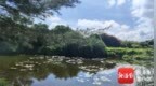 海南昌江海尾国家湿地公园国庆开园 免费向公众开放