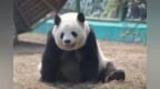 喜迎国庆 欢度中秋 | 开启“秋访冰城 见证山河”之旅⑧