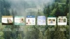 尼塔NatyCare引领绿色育儿新风尚，用自然呵护宝宝未来