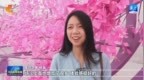 河北：“文旅＋”深度融合 “花式”创新促消费