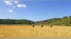 长春“电保姆”：166个支农小队确保4687户农家秋收供电无忧