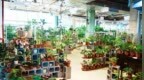 长春惊现“植物科幻城”！8000㎡雨林沙漠里吃饭遛猫，未来感拉满
