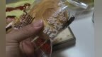 百草味袋装面包里竟有活蟑螂？品牌方：已联系消费者寄回调查