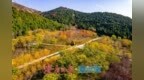 登高赏秋正当时！围子山郊野公园“绚烂”出圈，转身直达“枫”景线