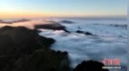 “华中屋脊”神农架雨歇云海生