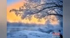 伊春：雪景模式将开启，“中国林都”的雪原里藏着一封冬日情书