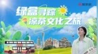 《绿盒寻踪》凉茶文化之旅