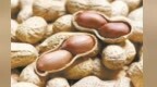 每天四五颗花生能护心脑血管？真相是……