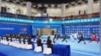 2025年全国体育传统项目学校武术套路锦标赛圆满落幕