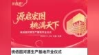 深圳桃佰园河源生产基地正式开业，日产包子150万只助力大湾区民生供应