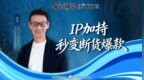 交响行动③|IP加持 秒变断货爆款