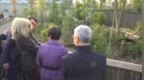 法国第一夫人参观大熊猫基地