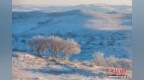 锡林郭勒雪原：苍原覆雪舞琼衣 生灵为画酝成诗