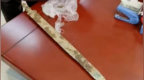 网友挖到2000多年前青铜剑交给博物馆