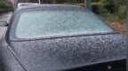 下雪啦！河南多地雪粒已转雪，接下来还有中到大雪，局部暴雪