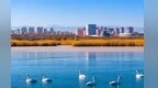 甘肃张掖湿地绘就冬日生态图