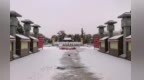 雪落雷台　邂逅冬日浪漫