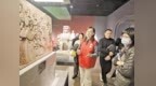 河北博物院志愿服务让博物馆文化惠及千万观众