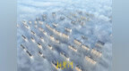 宛如天空之城  泉城现冬季“平流雾”景观