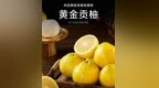 橘和柚杂交出“隐藏款”！多数人没尝过这黄金果的纯甜爆汁味