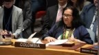 哥伦比亚在安理会紧急会议上谴责美国对委军事行动