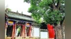 陇右第一名刹“绿”镜超能打　千年神树圈粉杜甫