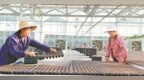 分宜县发展设施农业产业 促农业增效农民增收（图）