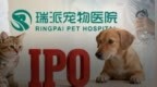 被“铲屎官”吐槽存诊疗争议，宠物医疗巨头瑞派宠物IPO背后AB面