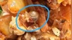 大连网友称在吉野家吃出腌入味的蜗牛，门店回应