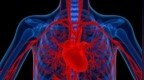 中国科学家研发出依靠心脏跳动自发电的起搏器，胶囊尺寸微创植入