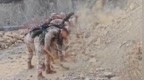 甘肃发生5.5级地震，武警官兵赶往震区救援
