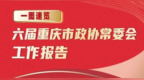 一图速览 | 六届重庆市政协常委会工作报告