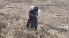 男子徒步川西时独自离队，队友：山上-20℃还有熊，没出事算他命大