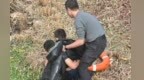 上饶鄱阳一儿童不慎落水，河水冰冷刺骨，民辅警紧急施救