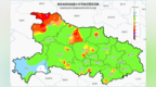逼近20℃！ 湖北将正式启动“大回暖”模式