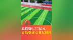 总投资6.57亿元 青岛要建专业足球场