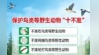 上饶市鸟类等陆生野生动物保护活动有奖举报公告发布
