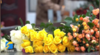 枣庄：春节将至 “花卉经济” 不断升温