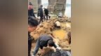 抚州南城县一桥下有人挖到金子和古钱币？工作人员：什么都没有，好事者喜欢挖
