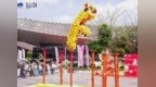 醒狮腾跃，点睛采青！南山这年味太足了