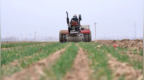 山东：科学春管促壮苗 多措并举保丰收
