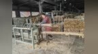 从小城竹林到全球市场：中国“以竹代塑”助推绿色产业发展