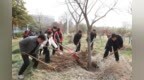 安徽中药科技学校开展“植绿校园 播种希望”植树节主题活动