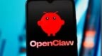 你“养虾”了吗？有人靠安装OpenClaw赚了26万