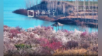 济宁：在诗词里 遇见泗水梅园