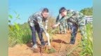 赣州定南：携手植树苗 共同添新绿（图）