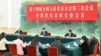 王沪宁参加台湾代表团审议