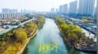万条垂下绿丝绦 济南小清河尽染春意浓