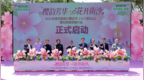 首日吸引超3万人次！第四届南沙樱花节开幕
